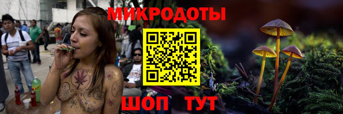 Ипатово  Галлюциногенные грибы Cubensis  Вход с VPN 